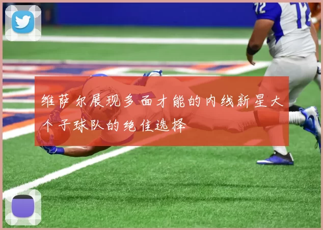 维萨尔展现多面才能的内线新星大个子球队的绝佳选择