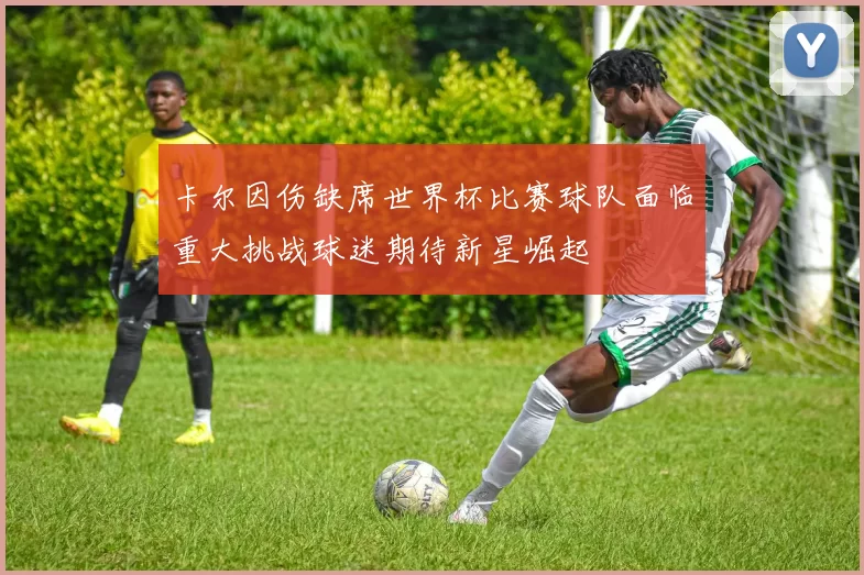 卡尔因伤缺席世界杯比赛球队面临重大挑战球迷期待新星崛起