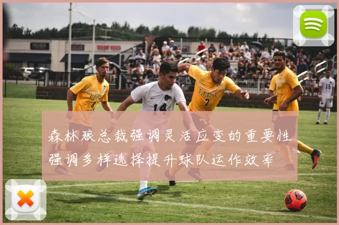 森林狼总裁强调灵活应变的重要性强调多样选择提升球队运作效率